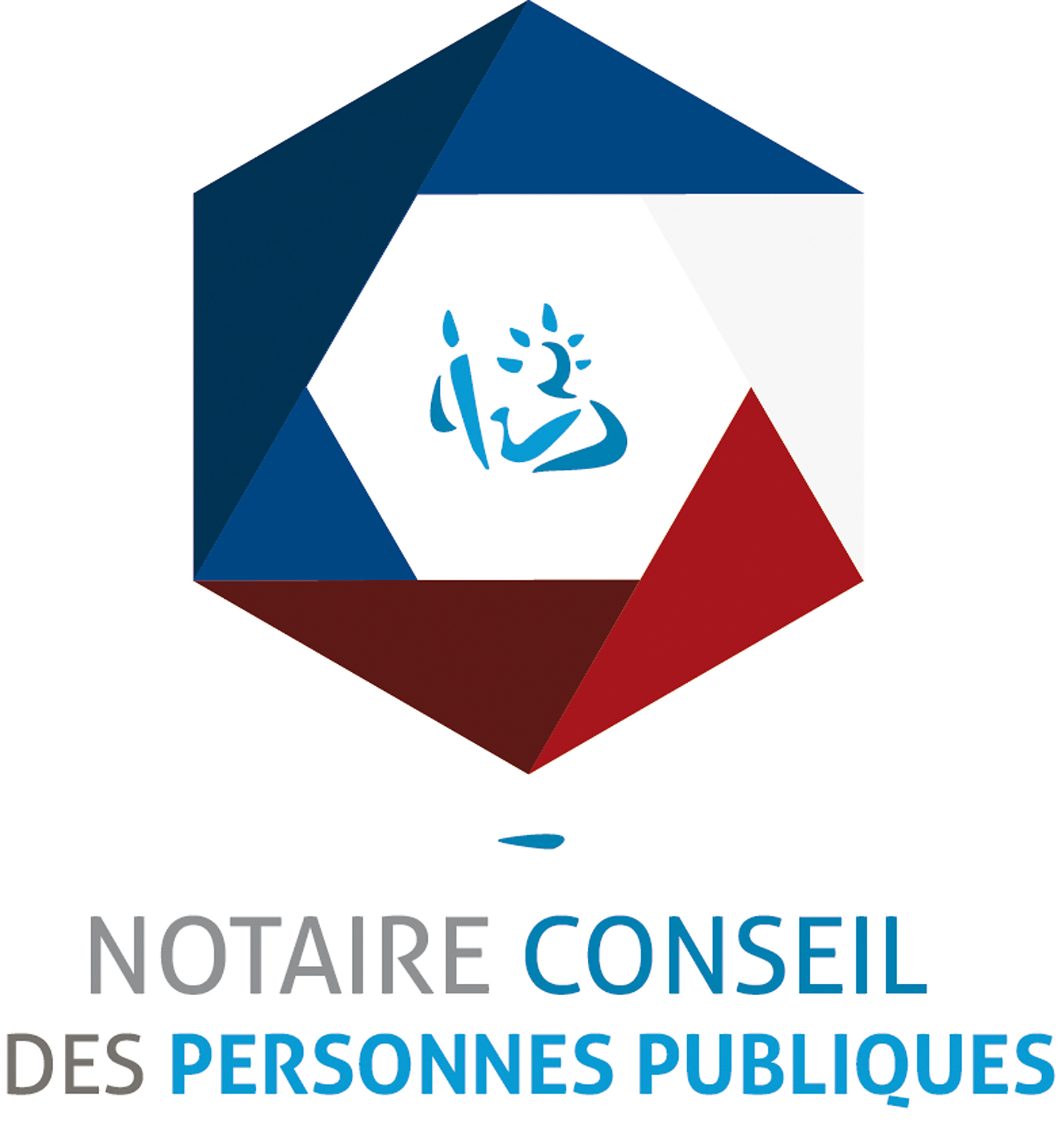 Logo Notaires Cœur Famille
